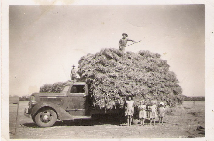 A truckload of hay