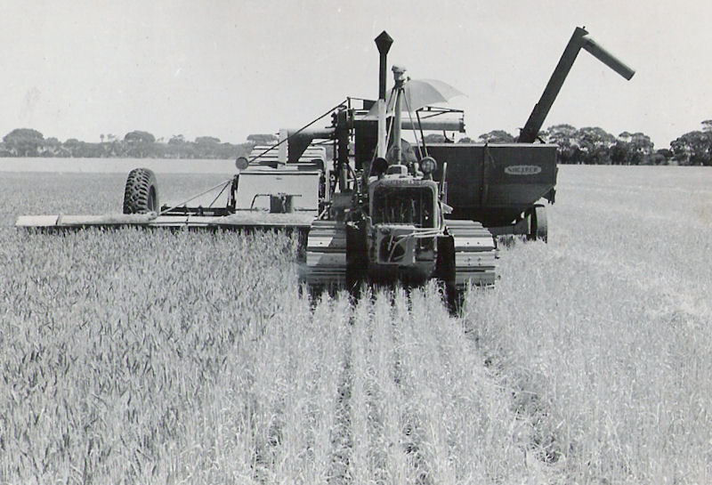 Taking off the harvest