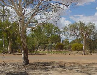 The playground